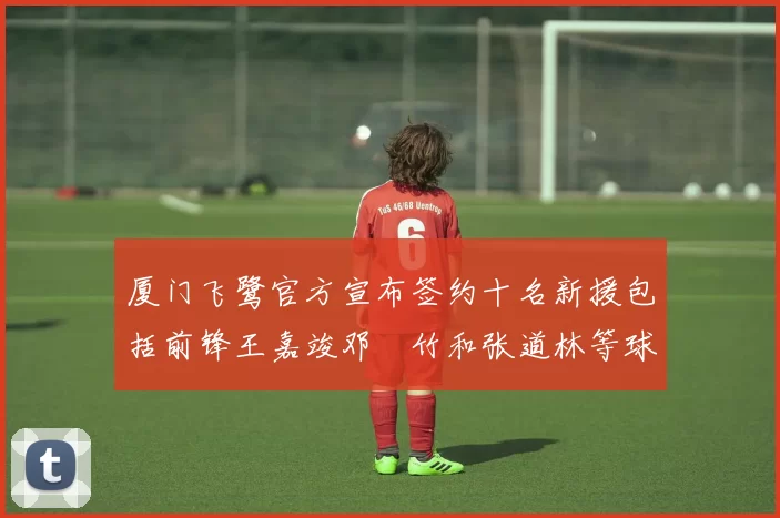 厦门飞鹭官方宣布签约十名新援包括前锋王嘉竣邓棽竹和张道林等球员